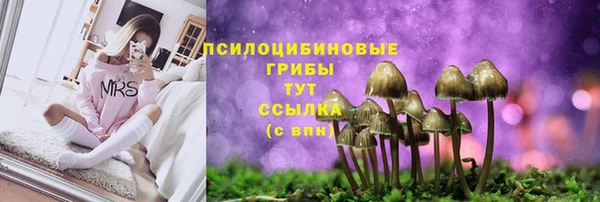 каннабис Арсеньев